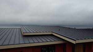 Best Metal Roofing Installation  in Richland, MO